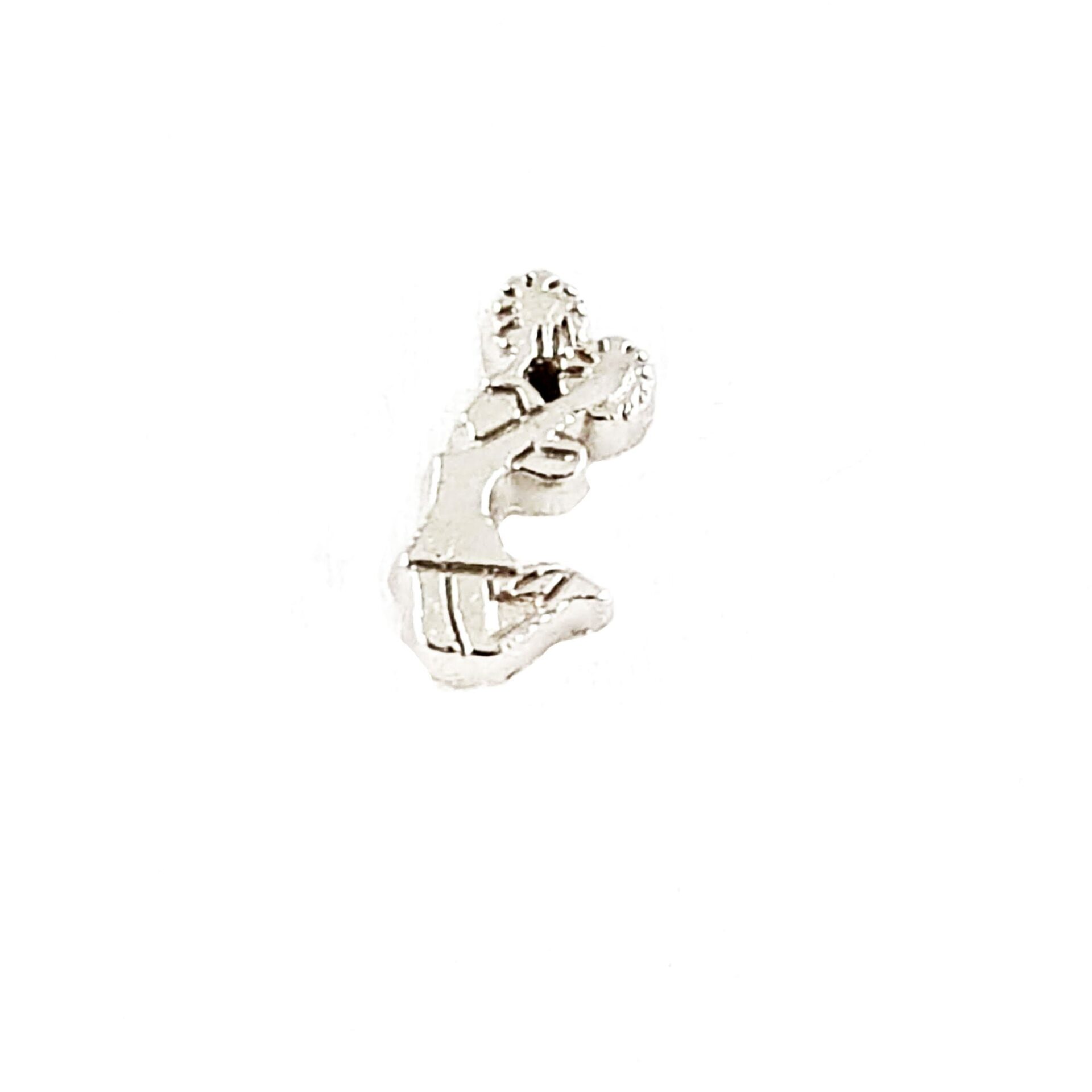 Cheer Floating Charms