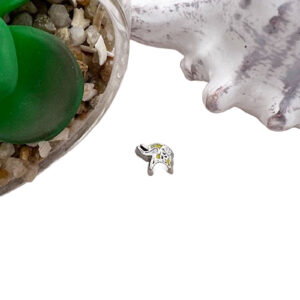 Vikings Floating Charm