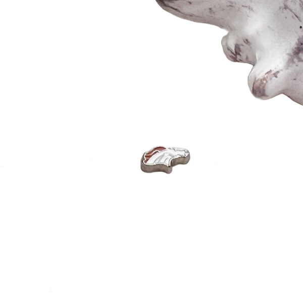 Broncos Floating Charm