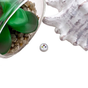 Steelers Floating Charm