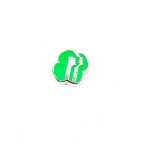 American Girl Scouts Floating Charm