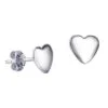 Heart Earrings