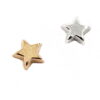 Star Floating Charms