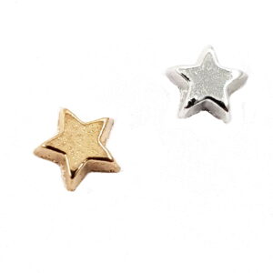 Star Floating Charms