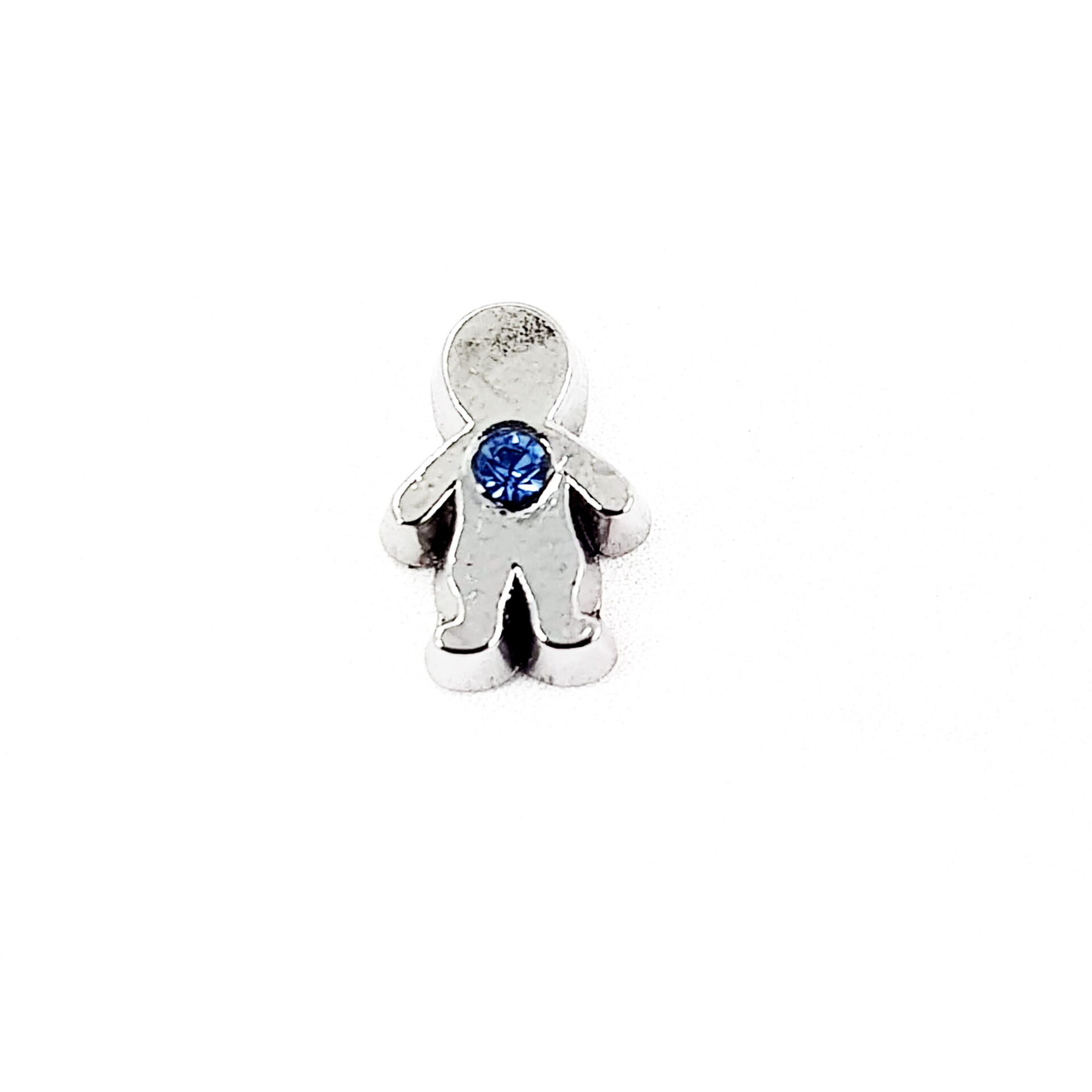 Birthstone Floating Charms-December