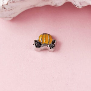 Cinderella Floating Charms