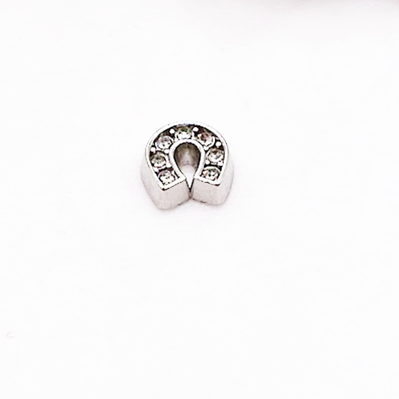 Horseshoe Floating Charms