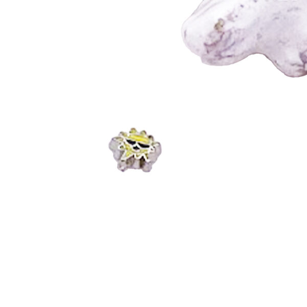 Sun Floating Charm