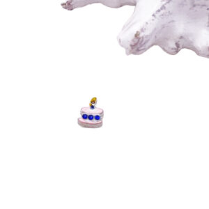 Birthday Cake Floating Charms