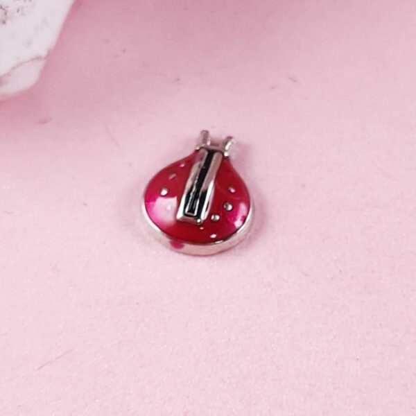 Ladybug Floating Charms