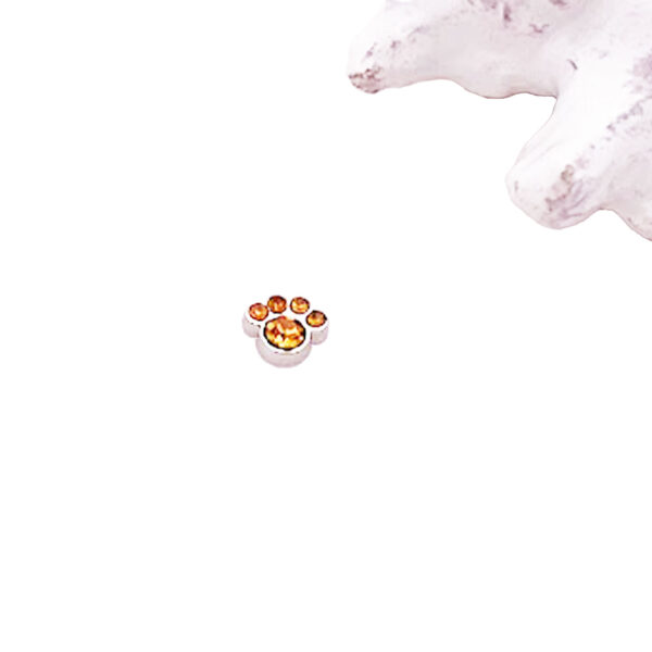 Paw Floating Charms
