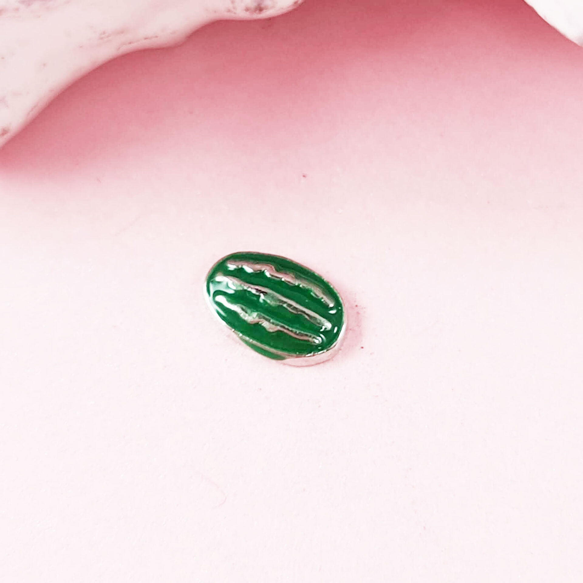Watermelon Floating Charms