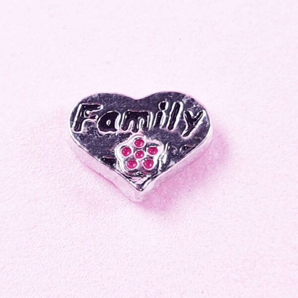 Family Floating Charms