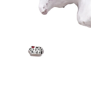 Grandkids Floating Charms