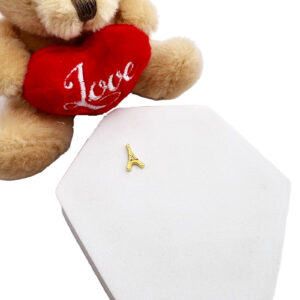 Eiffel Tower Floating Charm