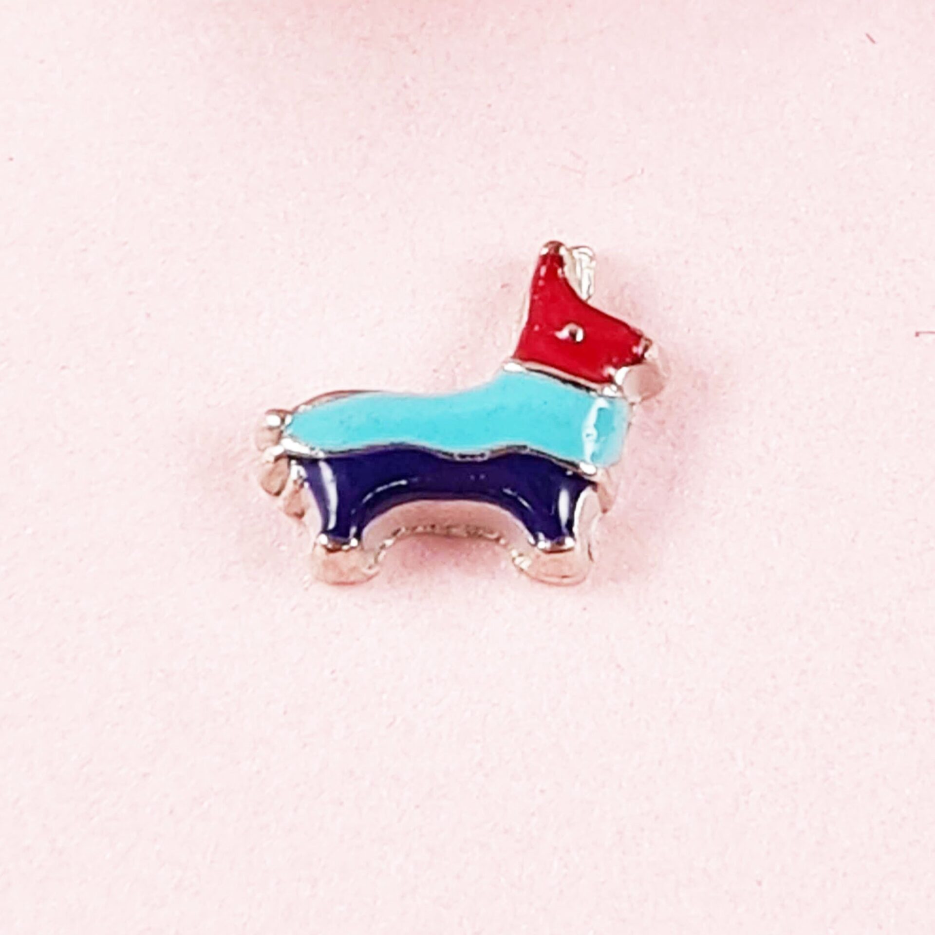 Pinata Floating Charm