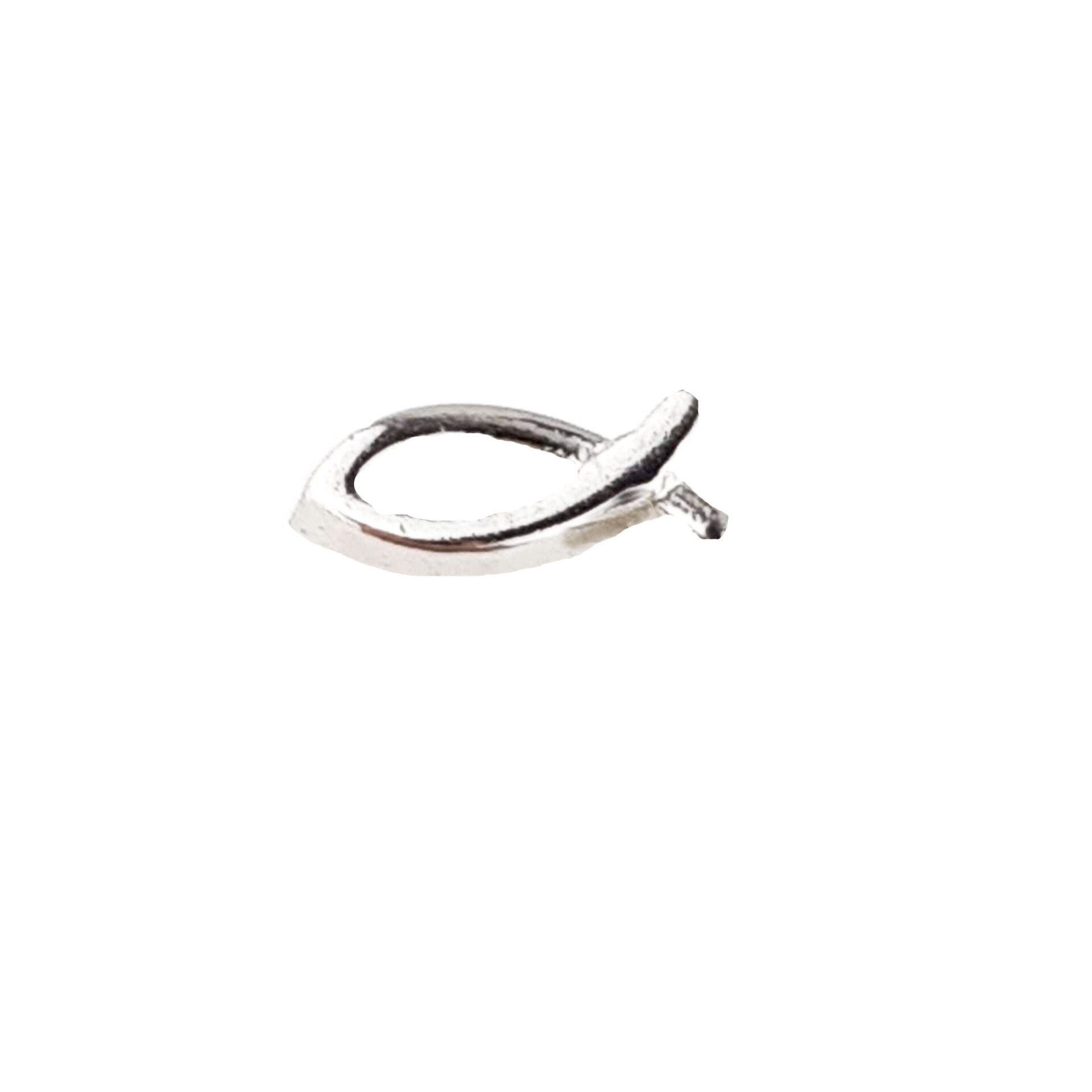 Christian Fish Floating Charm