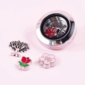 Floating Locket Brooch