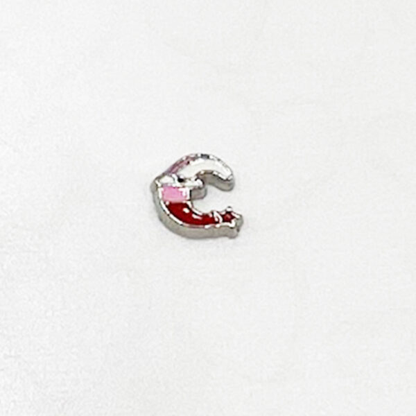 Christmas Moon Floating Charm