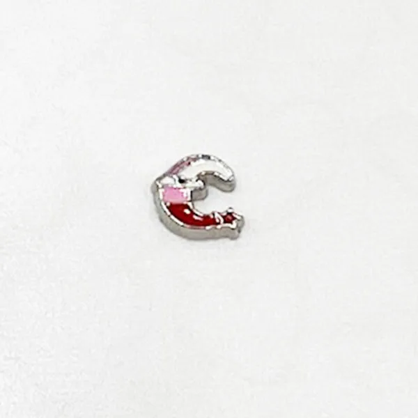 Christmas Moon Floating Charm