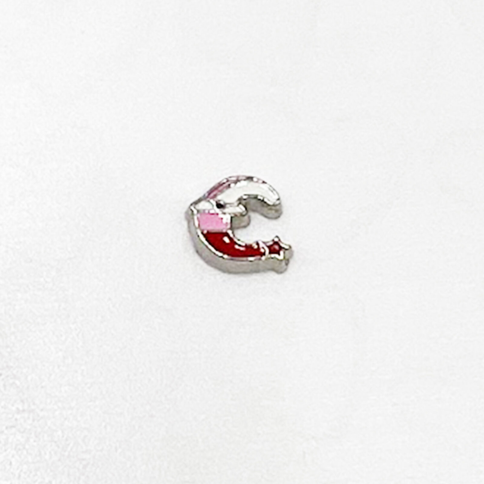 Christmas Moon Floating Charm