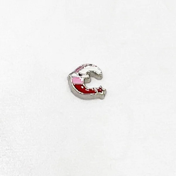 Christmas Moon Floating Charm