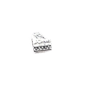 Piano Floating Charm