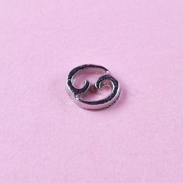 Star Sign Floating Charms
