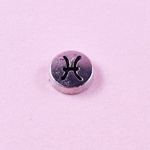Star Sign Floating Charms