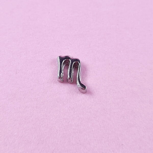 Star Sign Floating Charms