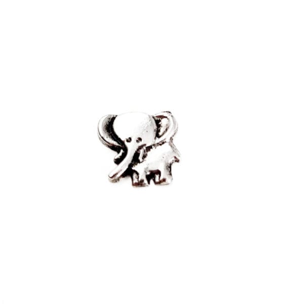 Elephant Floating Charms