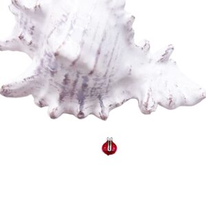 Ladybug Floating Charms