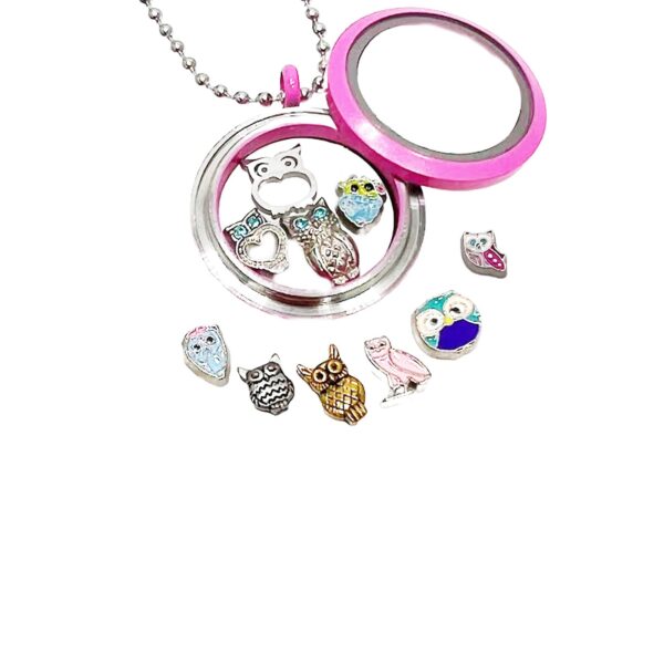 Owl Floating Charms