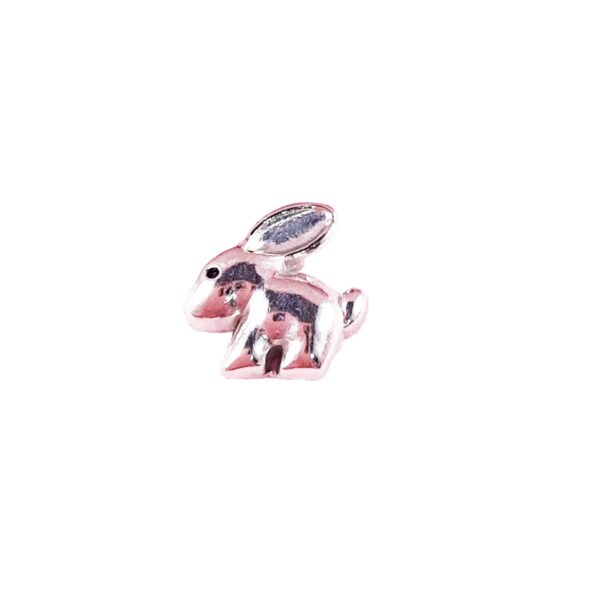 Rabbit Floating Charms