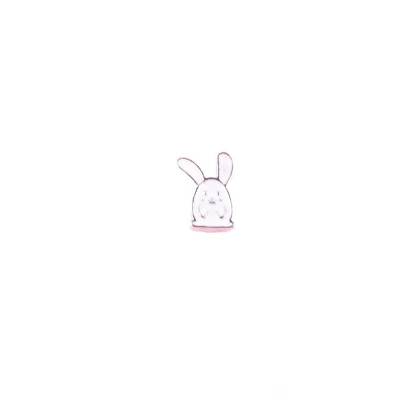 Rabbit Floating Charms
