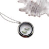 Snail Floating Charms