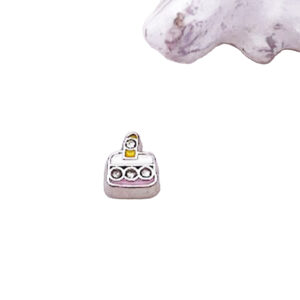 Birthday Cake Floating Charms