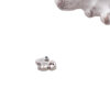 Fire Engine Floating Charm