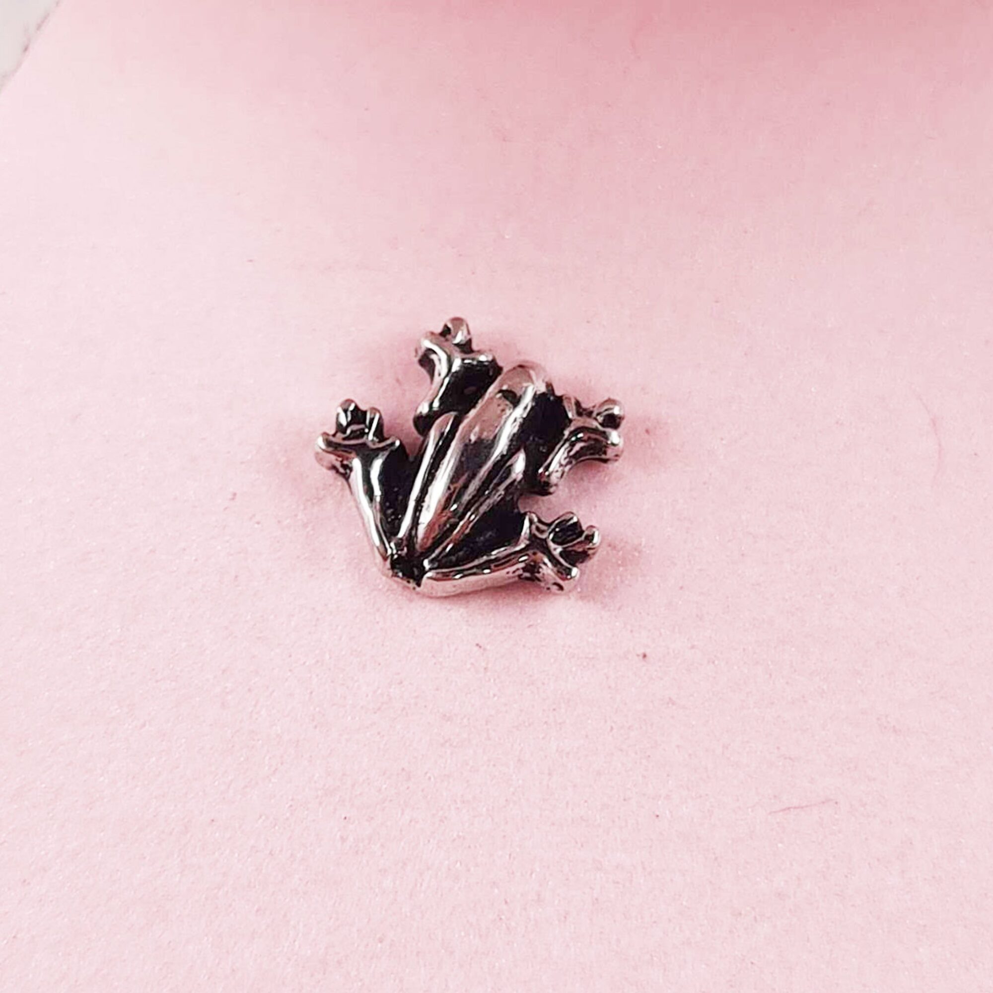 Frog Floating Charm