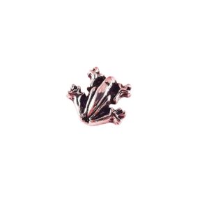 Frog Floating Charm