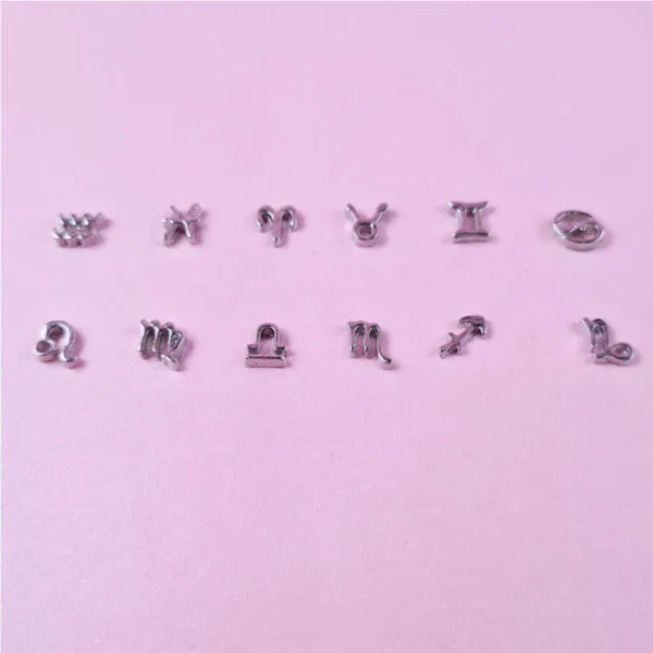 Star Sign Floating Charms