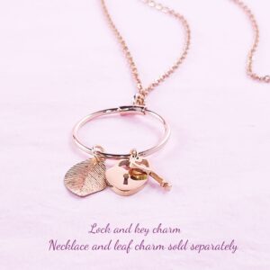 Lock and Key Necklace Charm Gold 6 Lock and Key Necklace Charm