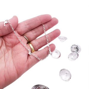 Dolphin Anklet
