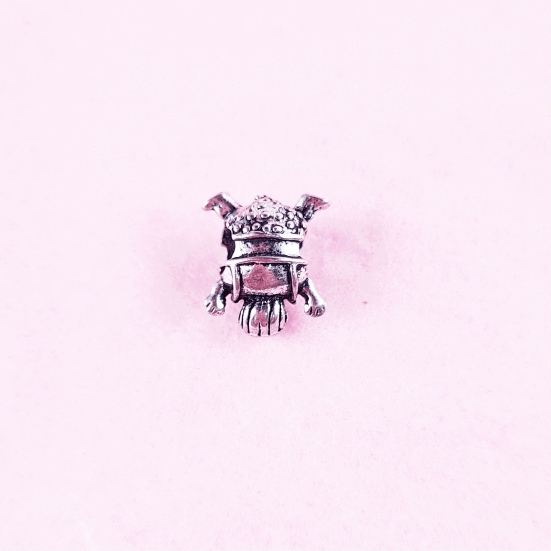 Bead Charms