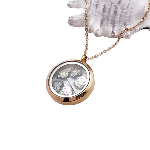 Harry Potter Floating Locket