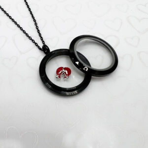 Boxing Gloves Floating Charm