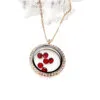 Birthstone Floating Locket