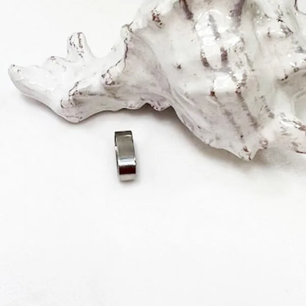 Silver Charm