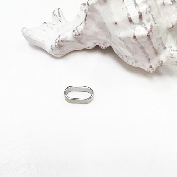 Silver Charm