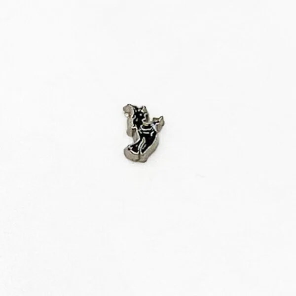 Witch Floating Charm